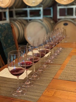 Library Vertical Tasting